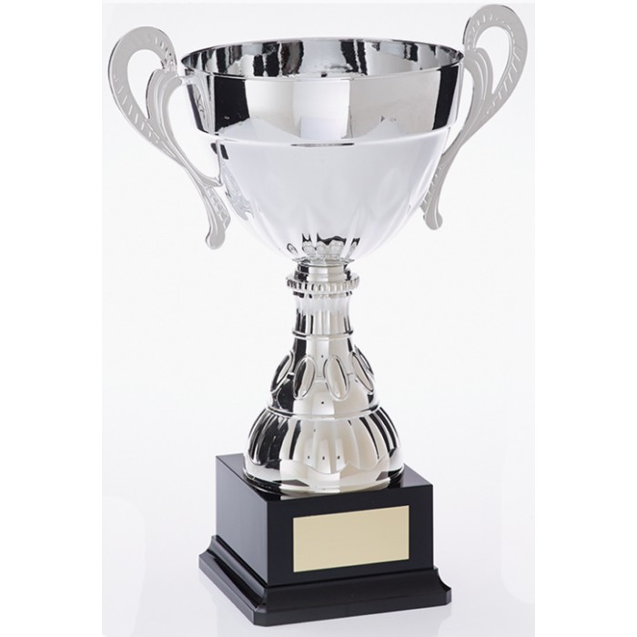 SILVER HANDLED TROPHY CUP ON SILVER RISER AVAILABLE IN 2 SIZES